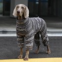 Cozy Big Dog Christmas Sweatshirt